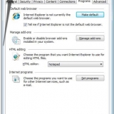 Maak internet explorer jou verstekblaaier