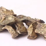 Vers oesters pasop