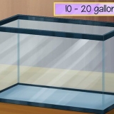 Voor 'n skink sorg