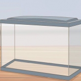 Voor guppy se sorg