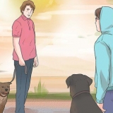 Voorkom dat 'n hond na ander honde blaft