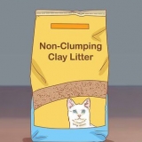 Voorkom dat daar kattenbakvulling aan die pootjies van jou kat bly