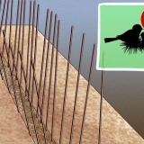 Voorkomen dat vogels nestelen