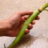 Wasabi klaarmaak