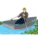 Verwyder waterlelies