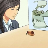 Weten van je hamster stervende is
