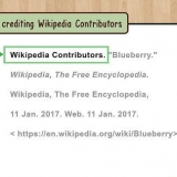 Met verwysing na wikipedia in mla-styl