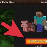 Maak jou eie velle vir minecraft