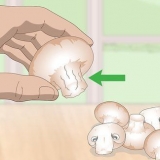 Zien of champignons bedorven zijn