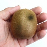 Zien of 'n kiwi nie meer goed is nie