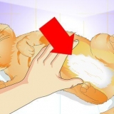 Zien of 'n poes gesteriliseerd is