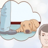 Zien of je hond depressief is