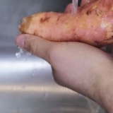 Zoete aardappel berei in die magnetron