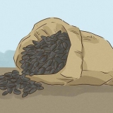 Zonnebloempitten eten