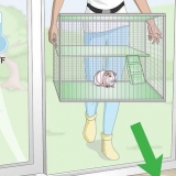 Zorgen dat cavia se warm bly