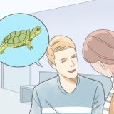 Zorgen vir 'n roodwangschildpad