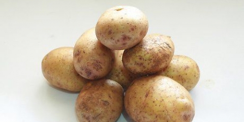 Aardappels invriezen