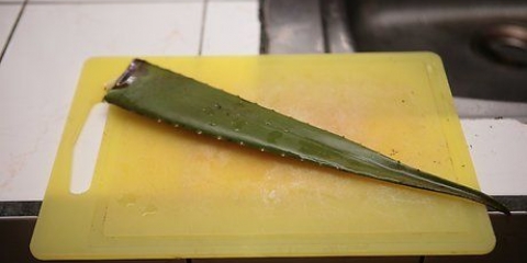 Maak aloe vera sap