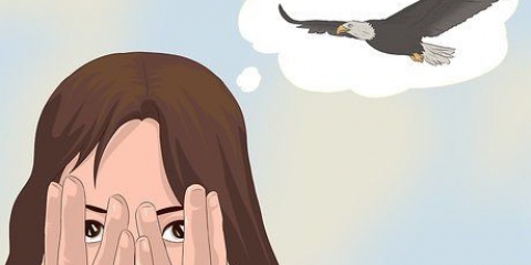Angst vir vogels oorwin