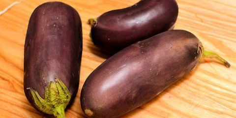 Aubergine bak