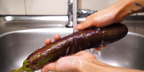 Aubergine berei