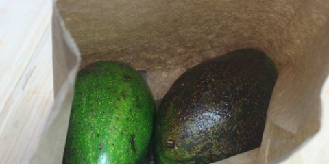 Avokado pasop