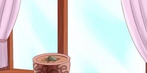 Kweek avokado's