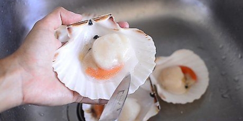 Bevroren coquilles voorberei