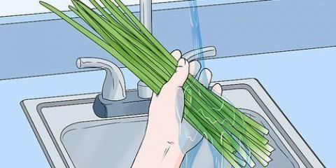 Bieslook gedrogen