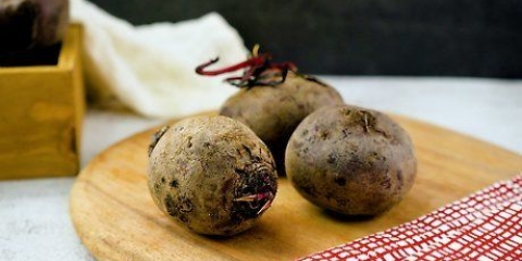 Bieten koken