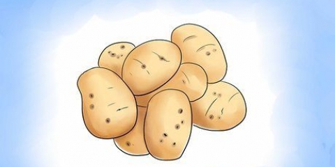 Kweek aartappels binnenshuis