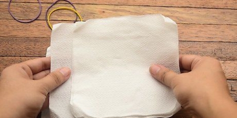 Maak blomme van toiletpapier
