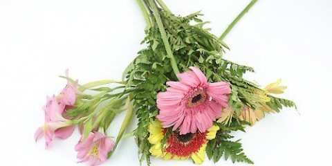 Blommerangskikking
