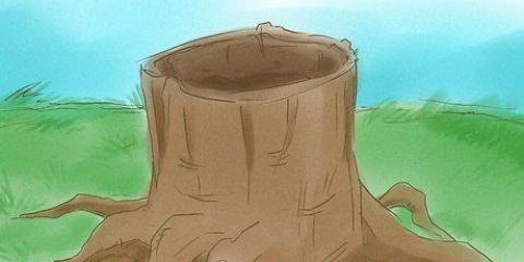 Doodmaak boomwortels