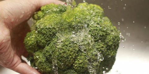 Broccoli berei