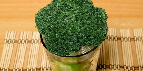 Broccoli vers hou