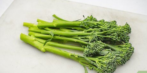 Broccolini berei