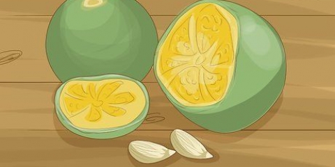 Calamondin plante