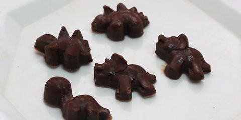 Chocolaatjes maak