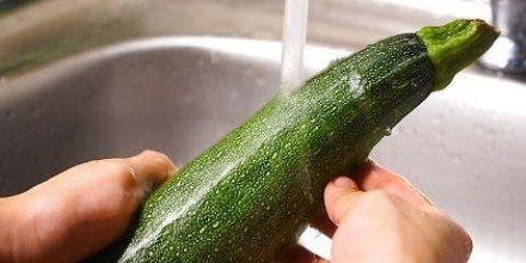 Rasper zucchini