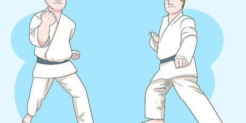 Verstaan ​​die basiese beginsels van karate