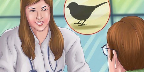 Die vleugels van 'n klein vogel knippen