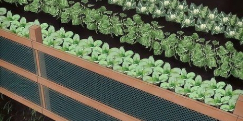 Dieren uit jou groentetuin hou