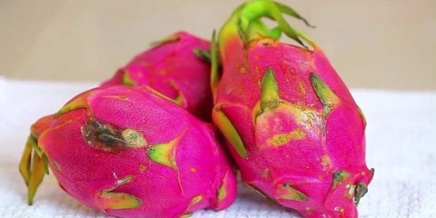Eet draakvrug (pitaya)