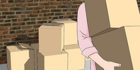 Dood van duitse kakkerlakke
