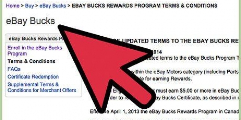 Ebay bucks verdien