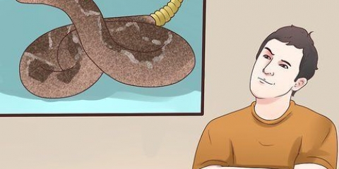 Een aanval van 'n ratelslang voorkom