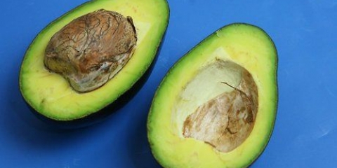 Een avokado eten
