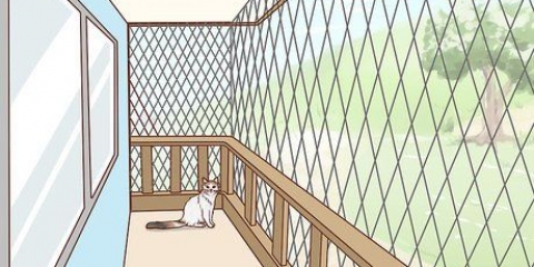Maak 'n balkon veilig vir katte