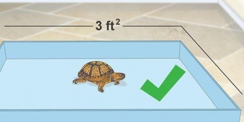 Een binnehabitat vir 'n terrape maak
